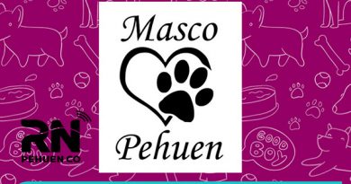 «Masco Pehuen» solicita la colaboración de toda la comunidad.