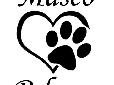 Castraciones gratuitas para felinos y caninos en PehuenCo