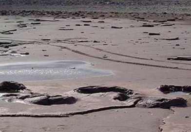 La Legislatura de la pcia de Bs. As. modificó ley para reconocer el rol de los municipios en la adminitración de la Reserva PehuenCo- Monte