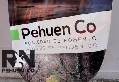 2/12: La SOFO «Amigos de PehuenCo» convoca a Asamblea Anual Ordinaria.