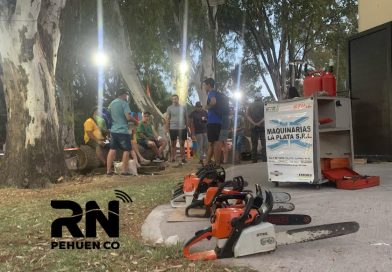 Ya comienza el 5to Encuentro Bienal Nacional de Escultura  «Tallando Indentidad»